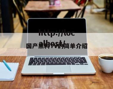 国产黑料TV的简单介绍